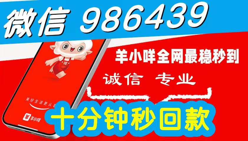 2026 羊小咩便荔卡包购物额度怎么提现出来秒到使用,简单三步秒到商家教您自己操作