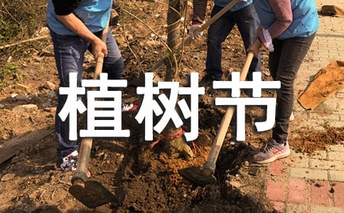 小班植树节主题活动总结（6篇）